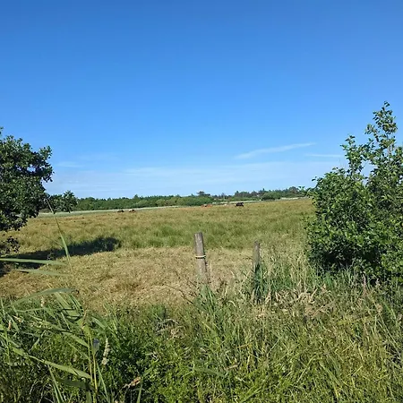 Luxury Retreat In - By Traum * Blåvand