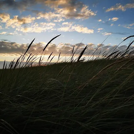 5 Star In Blåvand
